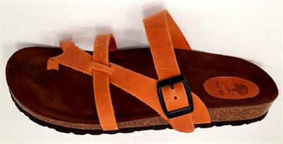 Chanclas INTER-BIOS 7121 Diversos Colores | Calzados Savina